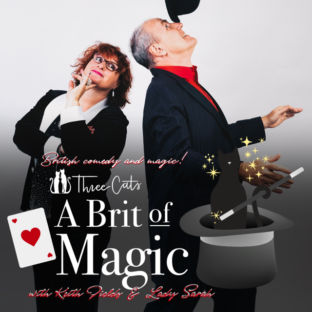 Magical Moments at Three Cats