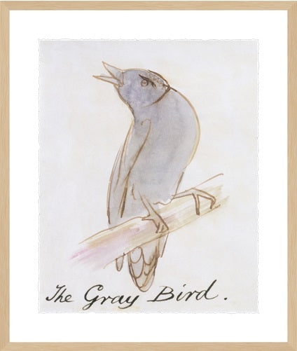 Colorful Birds Wall Art / Assorted Designs