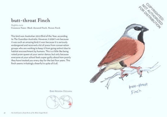 Field Guide to Dumb Birds of the Whole Stupid World