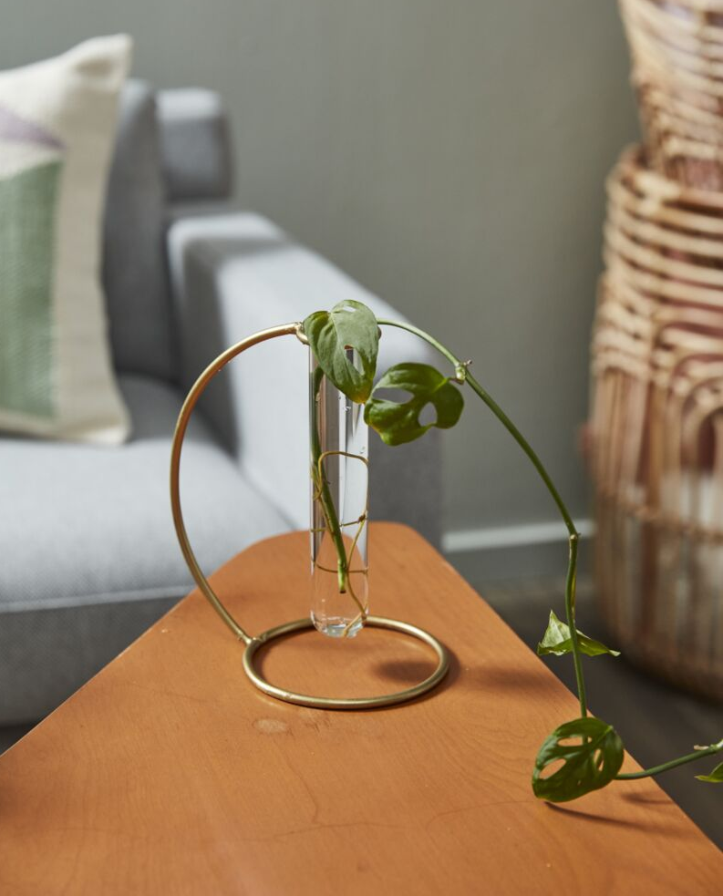 Riviera Propegation Stand / Small