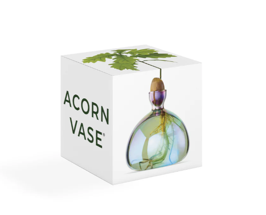 Acorn Vase / Cosmic Glass