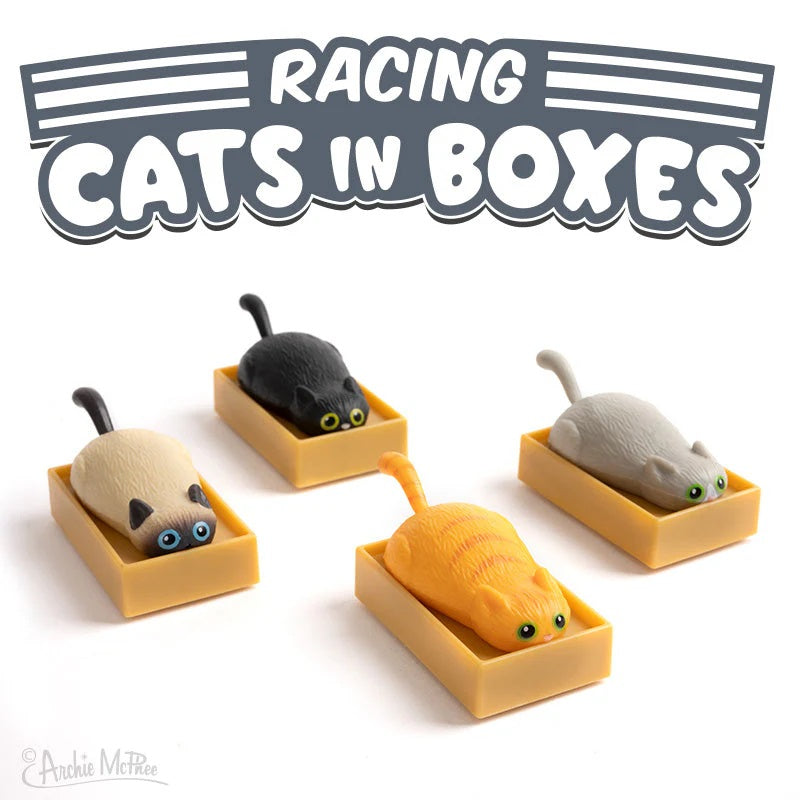 Racing Cat In Box