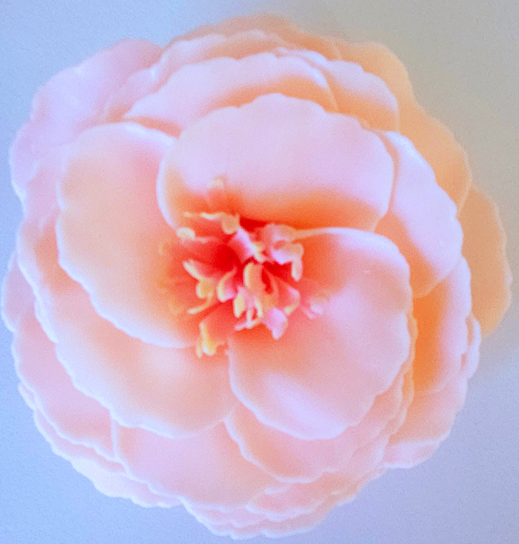 Soap Flowers / Click for Scents