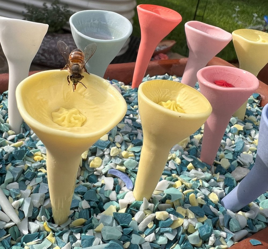 Bee Cups 3 Pack / Click for Colors