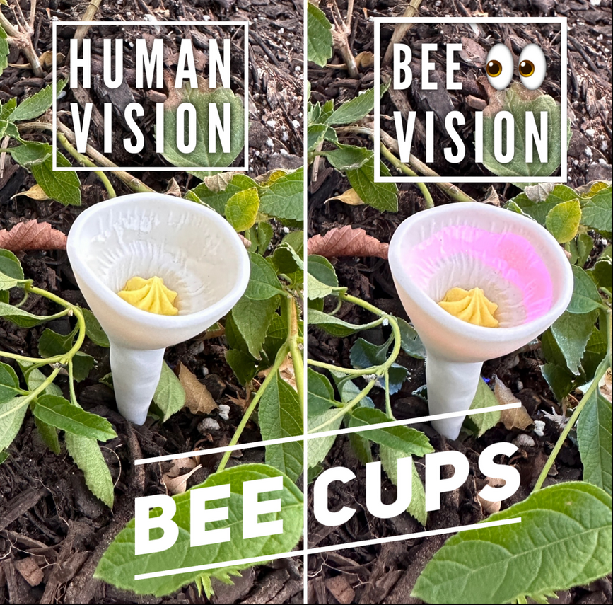 Bee Cups 3 Pack / Click for Colors