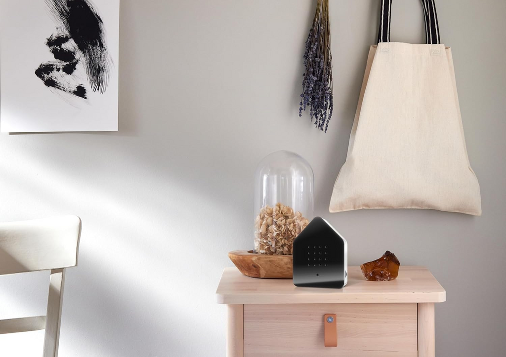 Birdybox: Carole's Favorite Thing