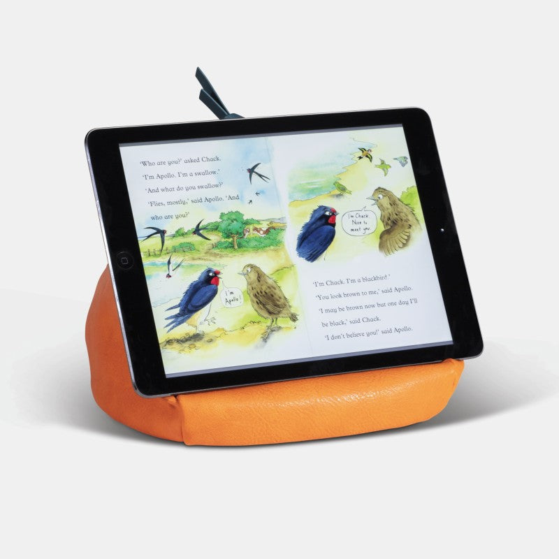 Bookaroo Bean Bag Reading Rest