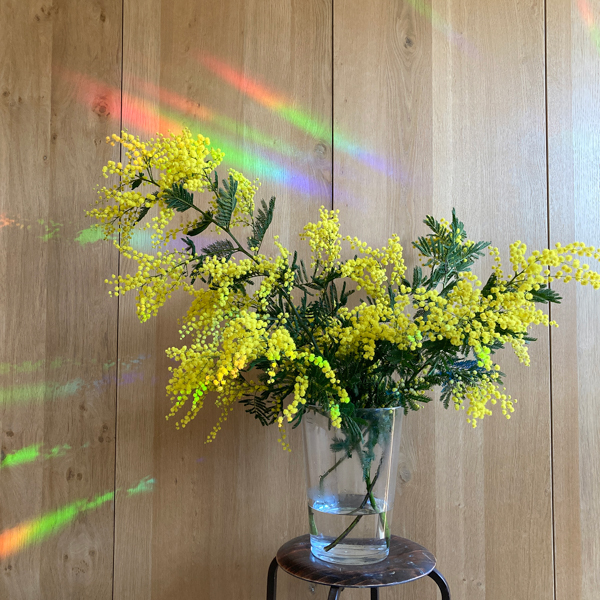 Suncatcher Rainbow Maker Stickers / Click for Selection