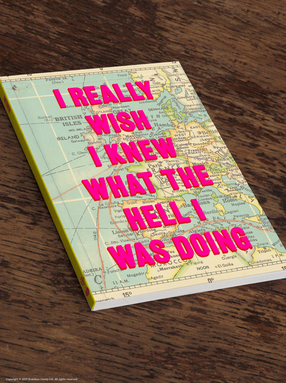 I Wish I Knew What I Was Doing Notebook