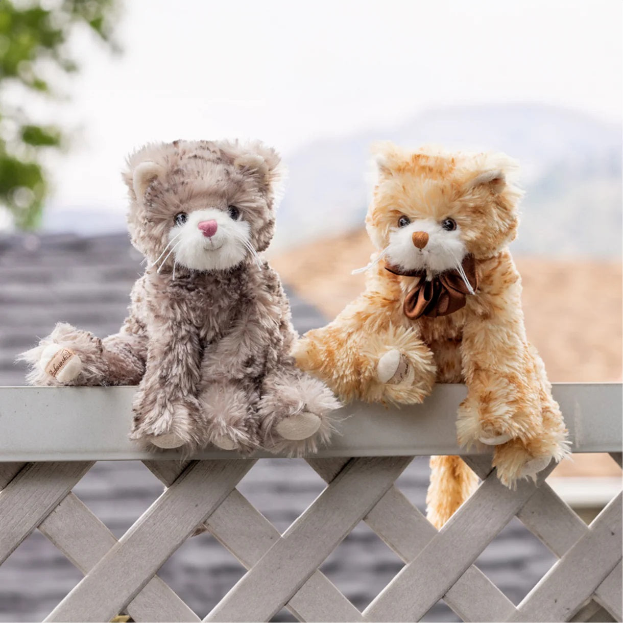 Bukowski Bears Maciek Plush Cat