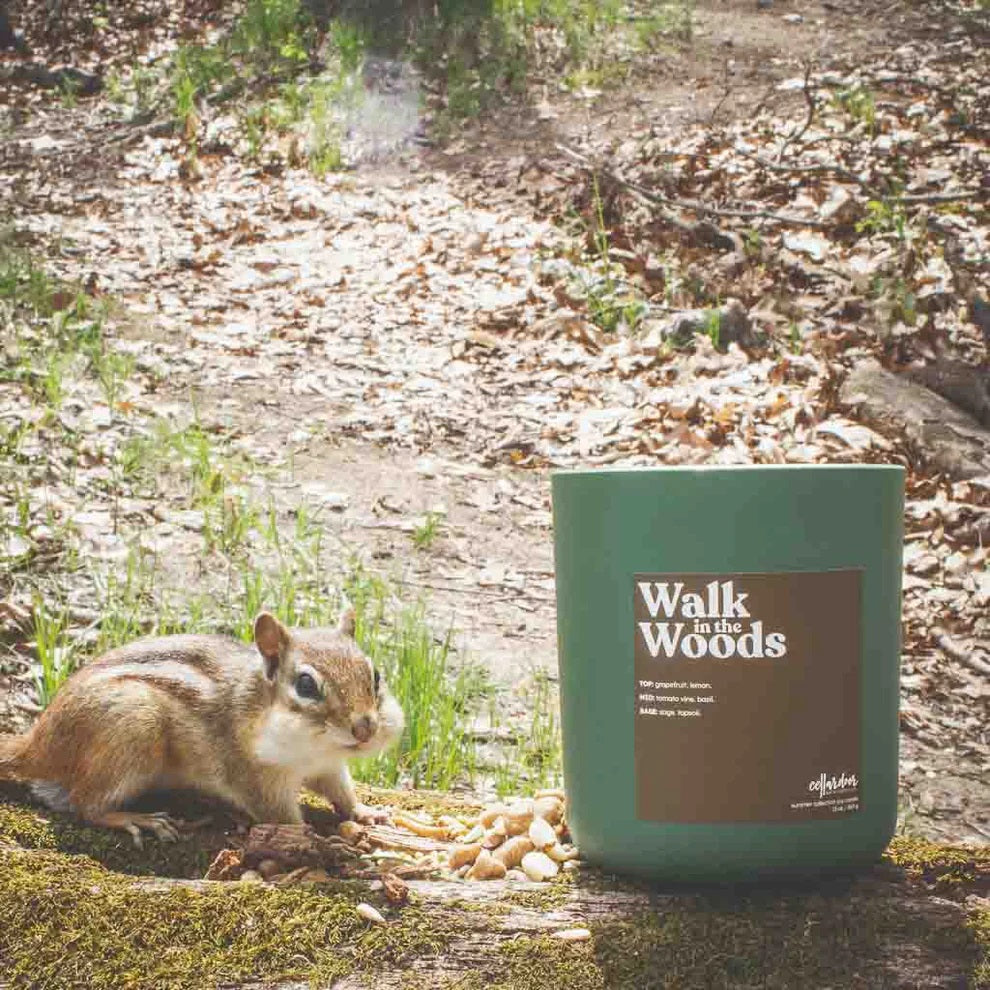 Michigan Collection Wood Wick Candles