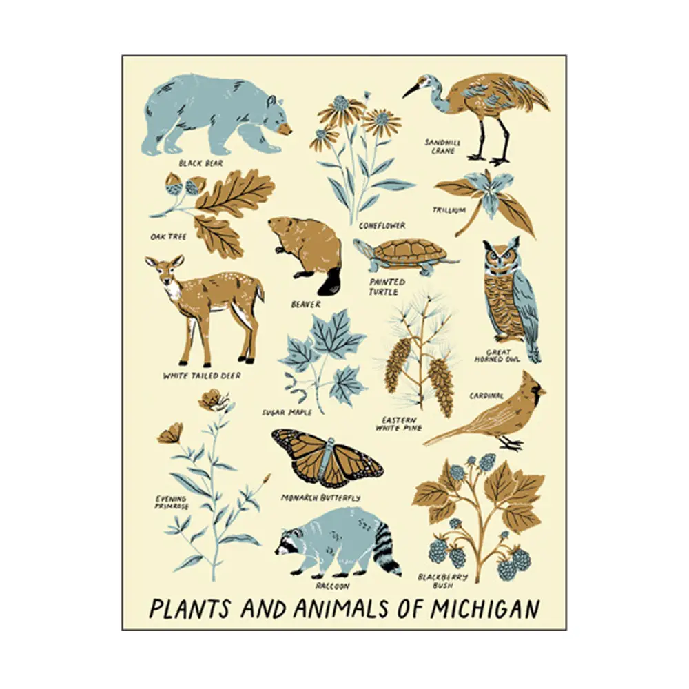 Animals & Plants of Michigan Greeting Card