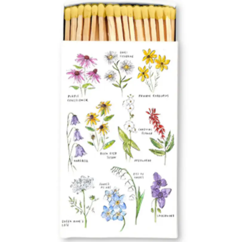 City Bird Matches / Click for Full Selection