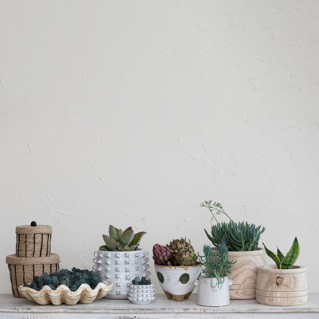 Magnesia Clamshell Decorative Bowl