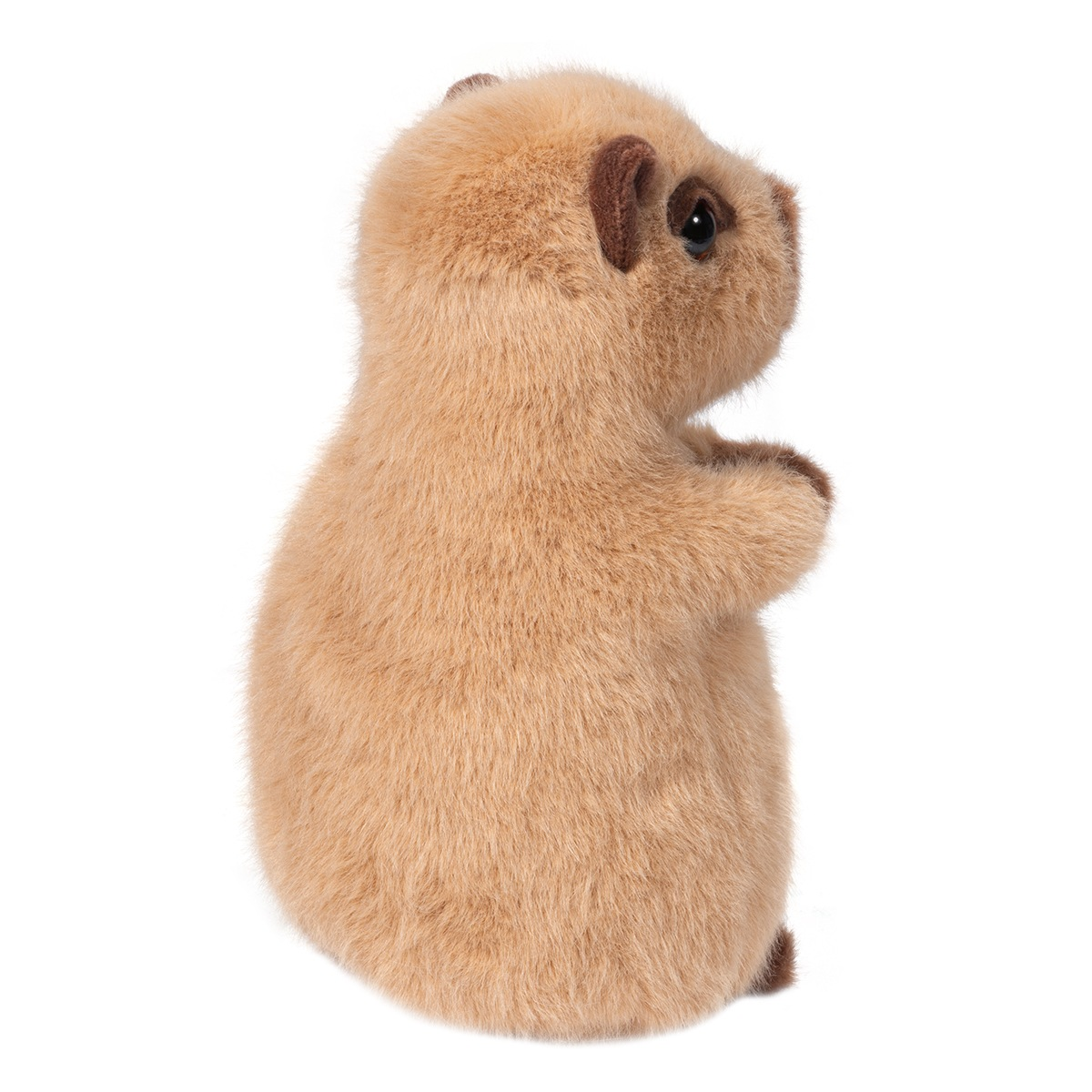 Chattie Soft Capybara Mini Plush