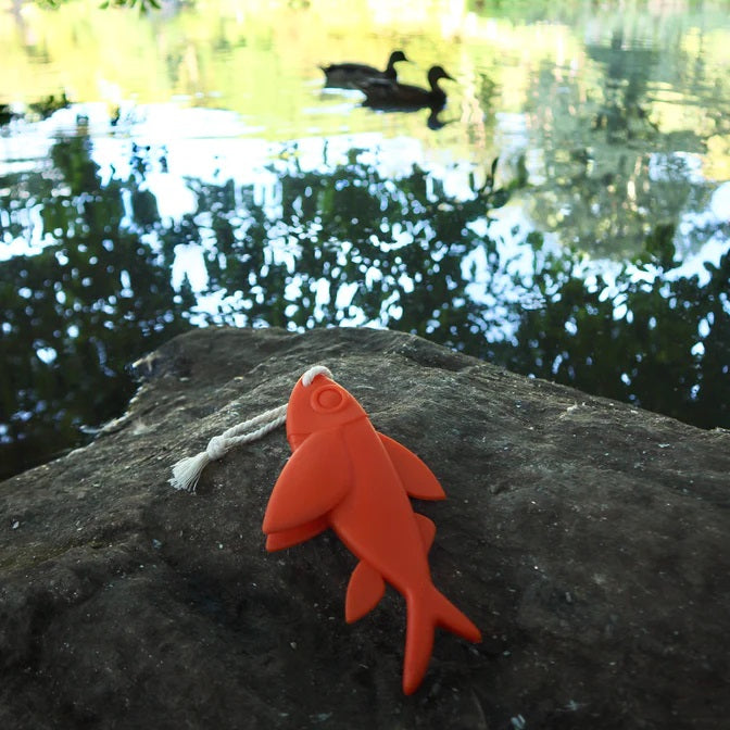 Flying Fish Float Toy