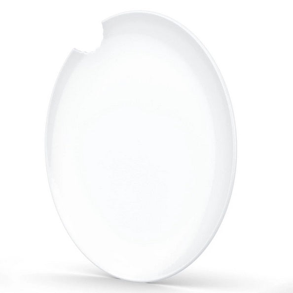Dinner Plate with Bite Mark