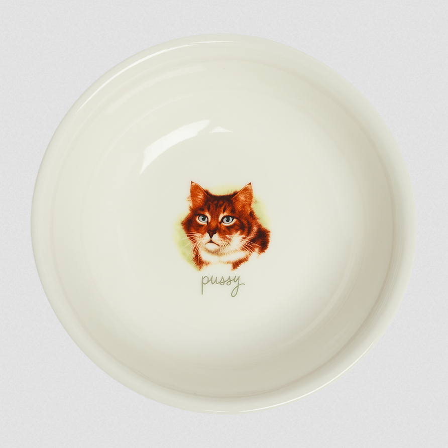 Fish Eddys Pussy Bowl