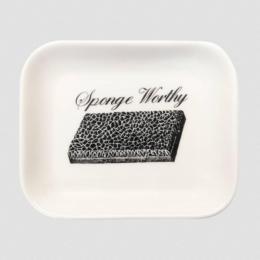 Sponge Worthy Tray from Fish Eddy's