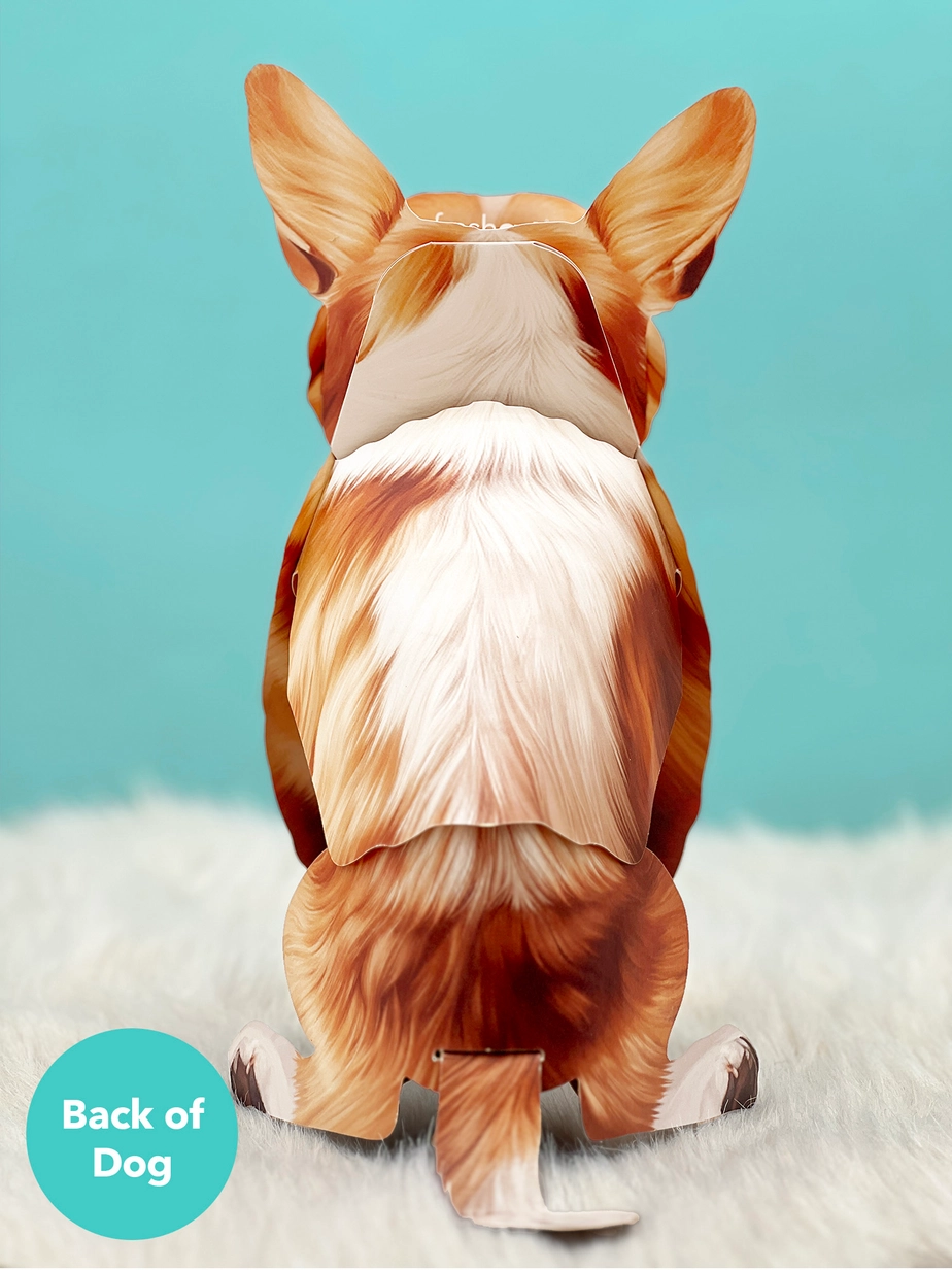 Pop-Up Pets Greeting Card / Click for Full Selection