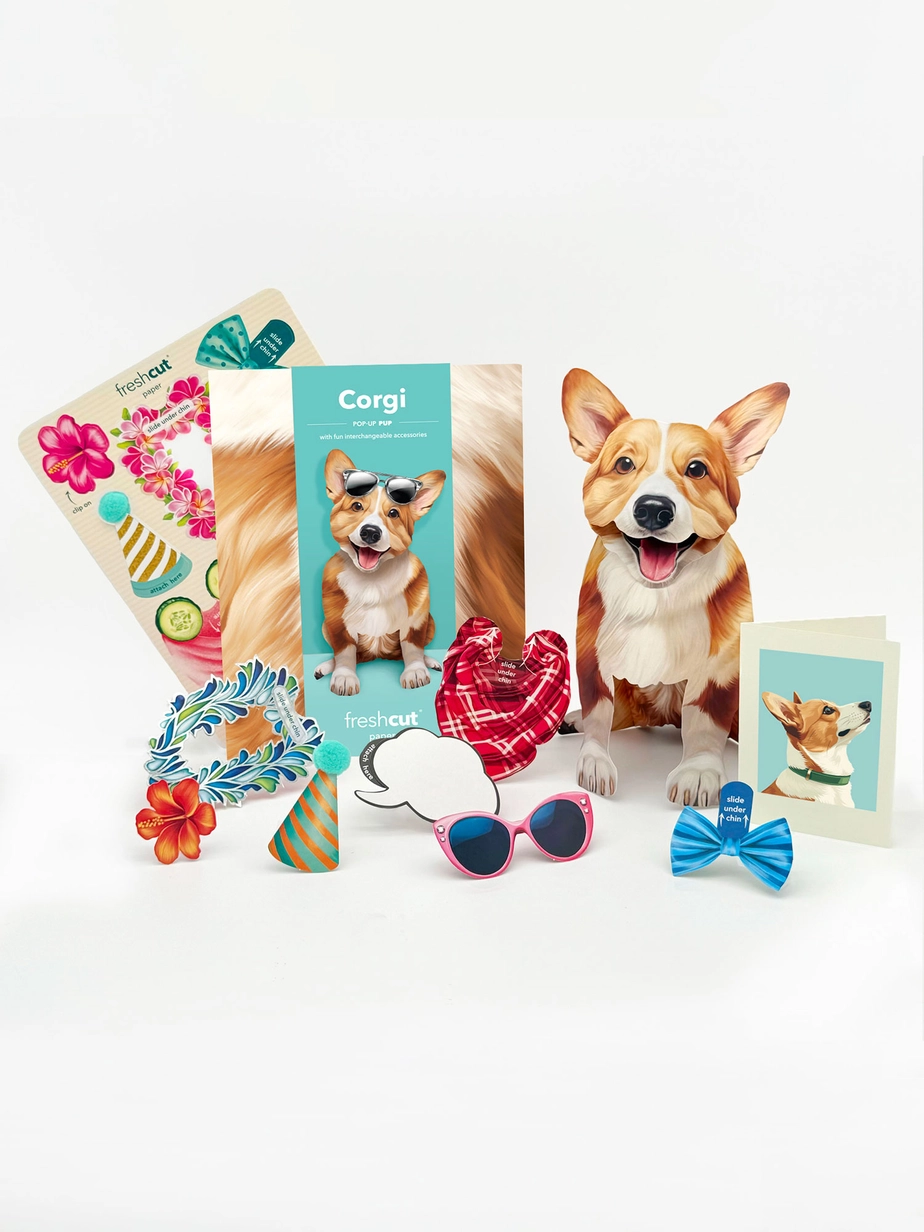 Pop-Up Pets Greeting Card / Click for Full Selection