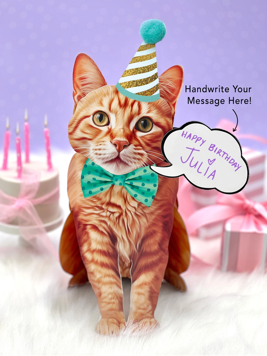 Pop-Up Pets Greeting Card / Click for Full Selection