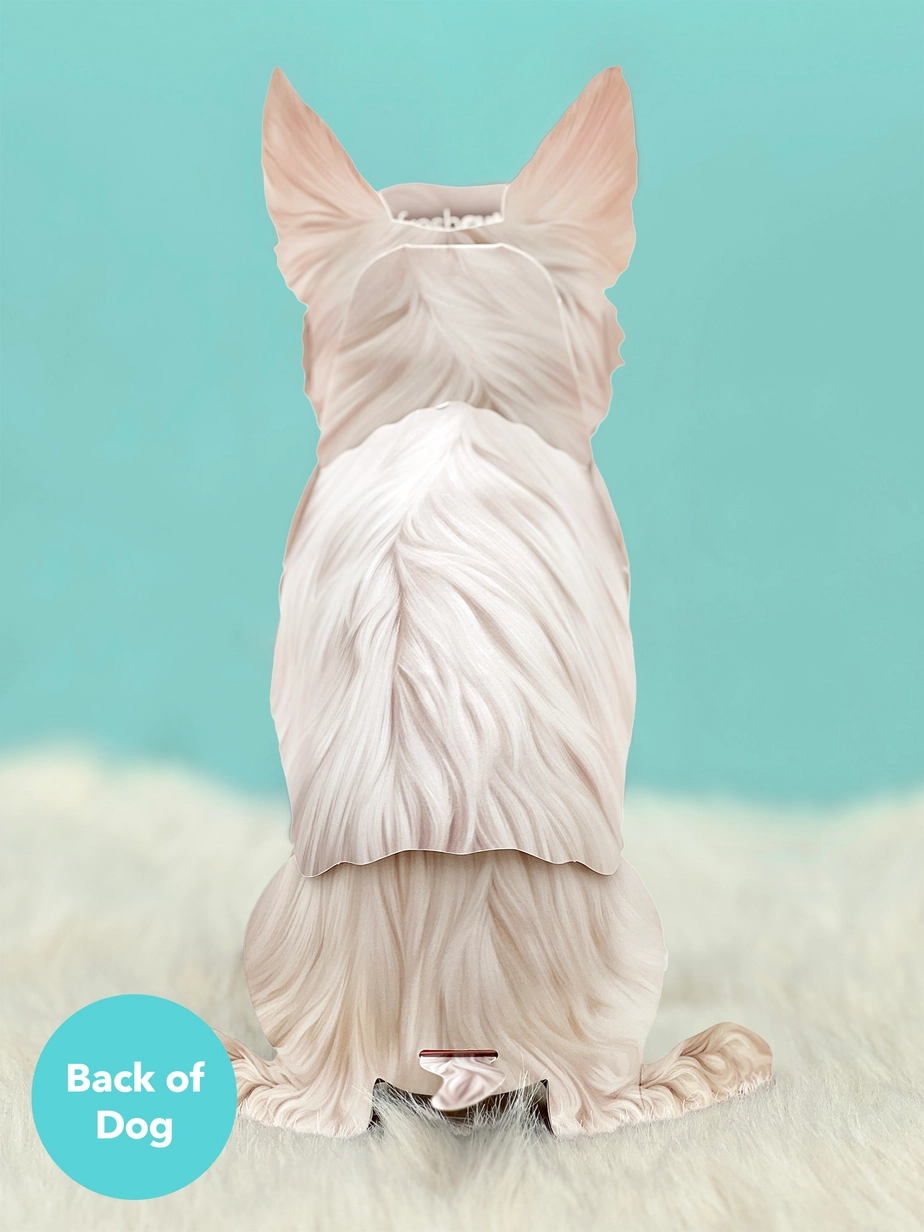 Pop-Up Pets Greeting Card / Click for Full Selection