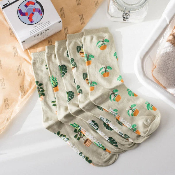 Laundry Box Socks Houseplants