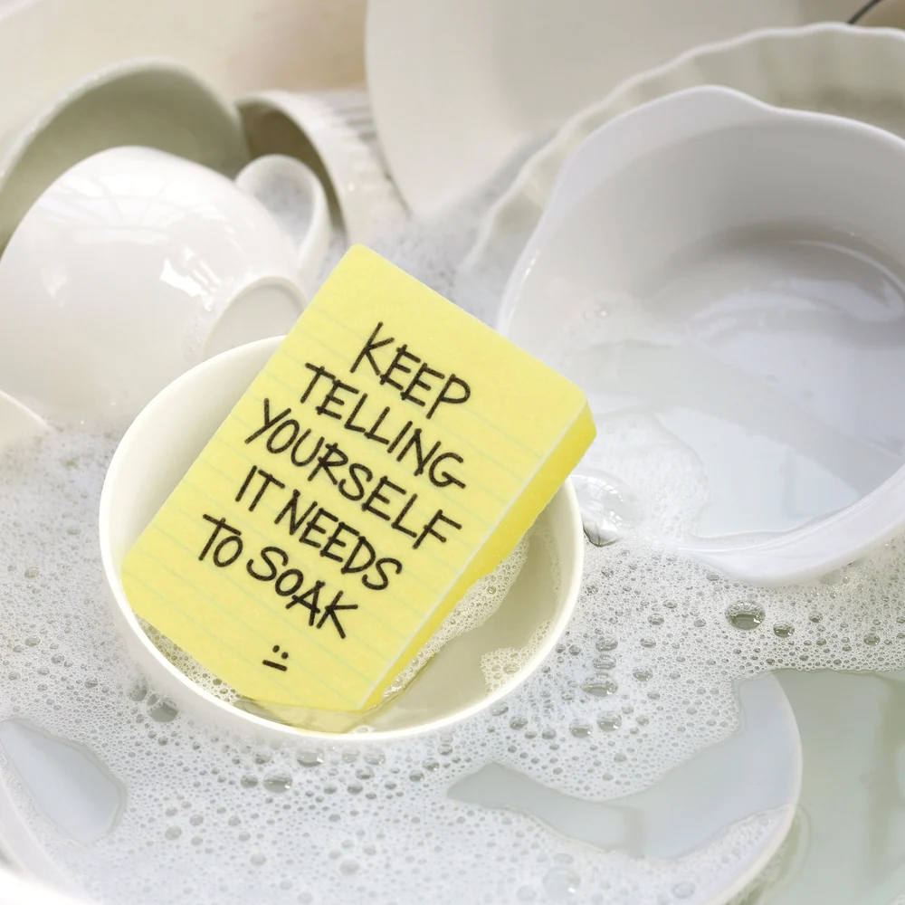 Clean Conscience Kitchen Sponges