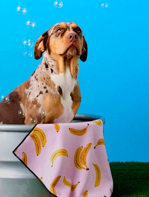 Dog Towel / Click for Patterns: Bertie's Favorite Thing