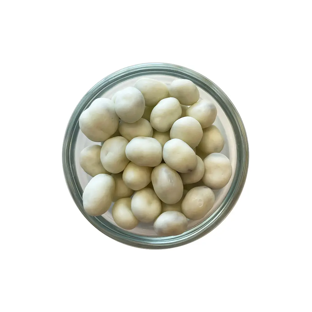 Snowman Poop Yogurt Covered Raisins