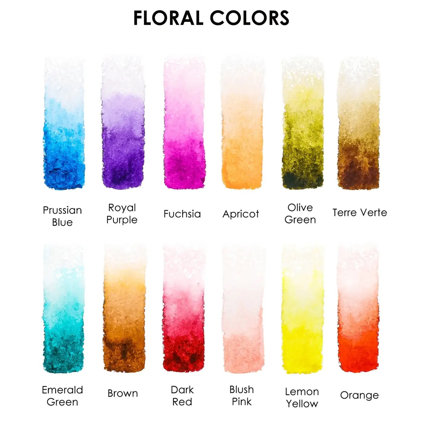 Watercolor Coloring Club Box / Click for Selection