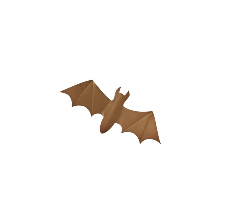 Winged Bat Wall Decor / Medium