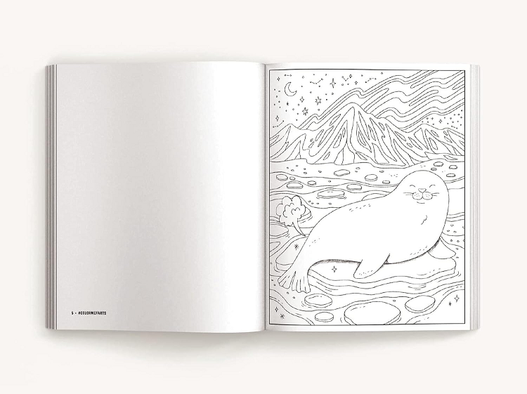 Color Me Farts: A Hilarious Adult Coloring Book