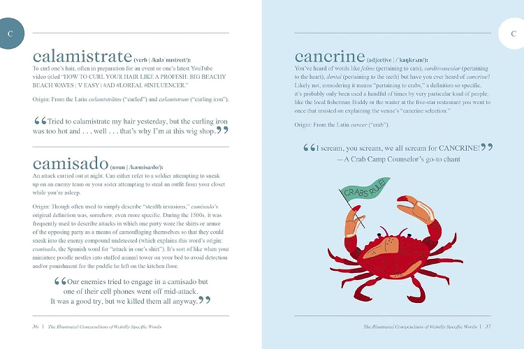 The Illustrated Compendium of Weirdly Specific Words