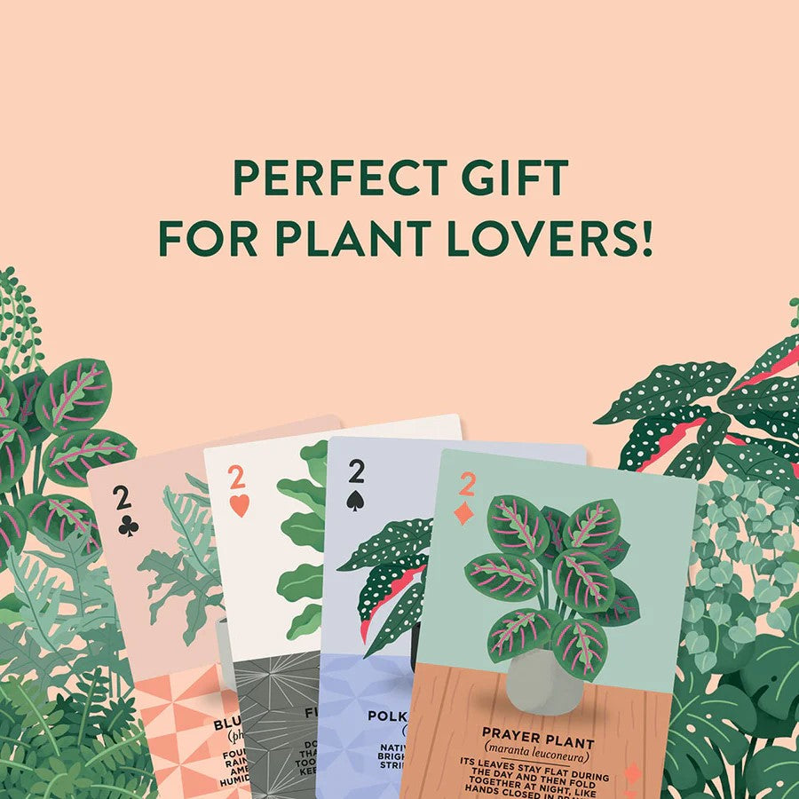 House Plants Playing Cards