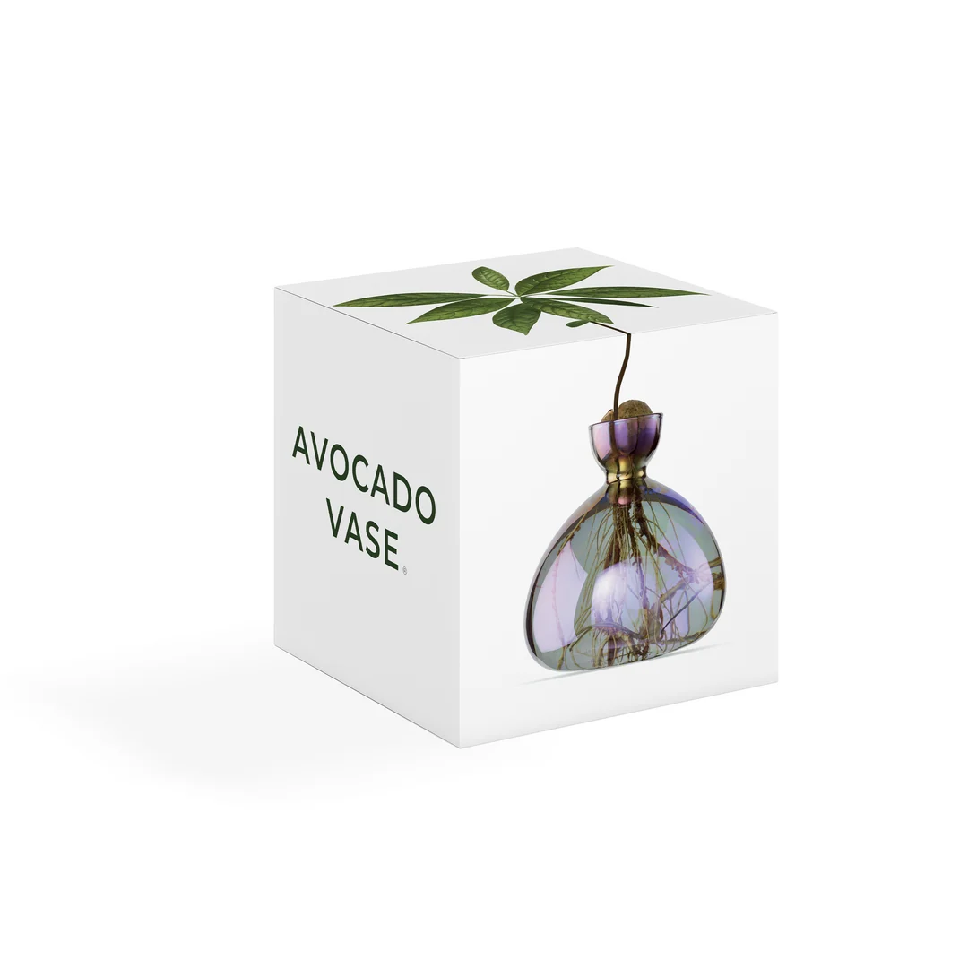 Avocado Vase / Cosmic