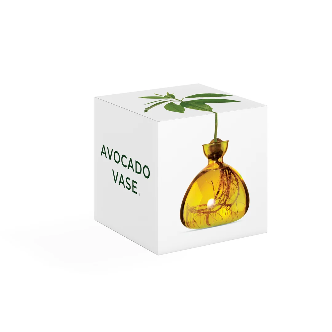 Avocado Vase / Color