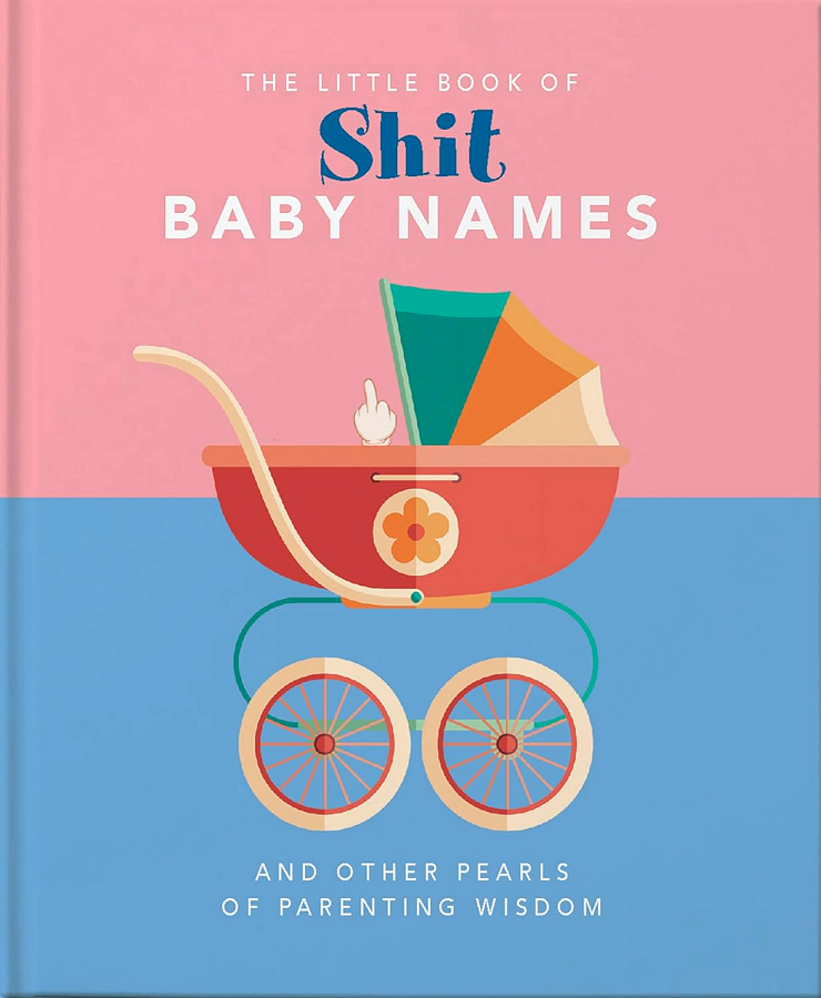 Little Book of Sh*t Baby Name