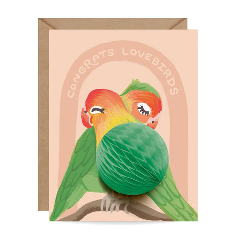 Lovebirds Pop-up Greeting Card
