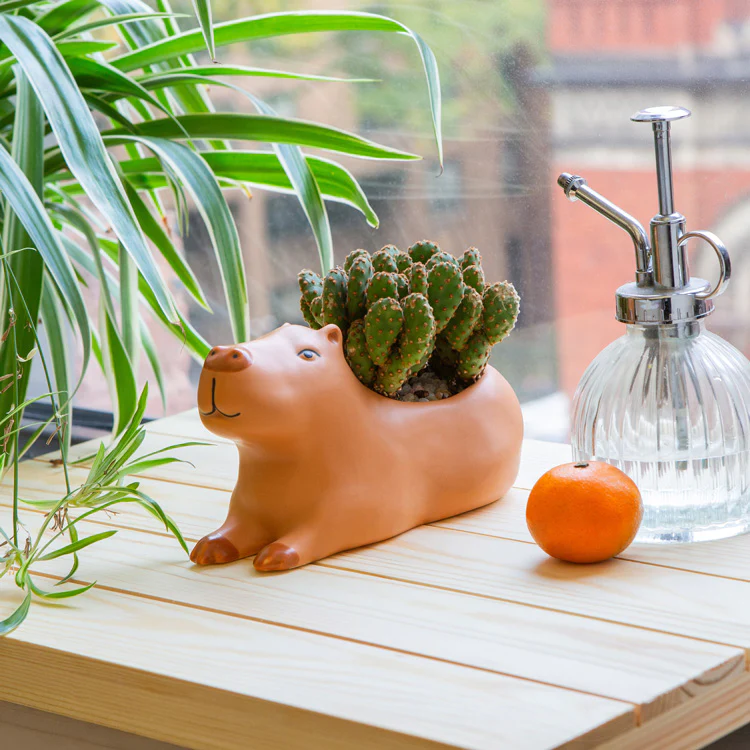 Cappy the Capybara Planter / Large