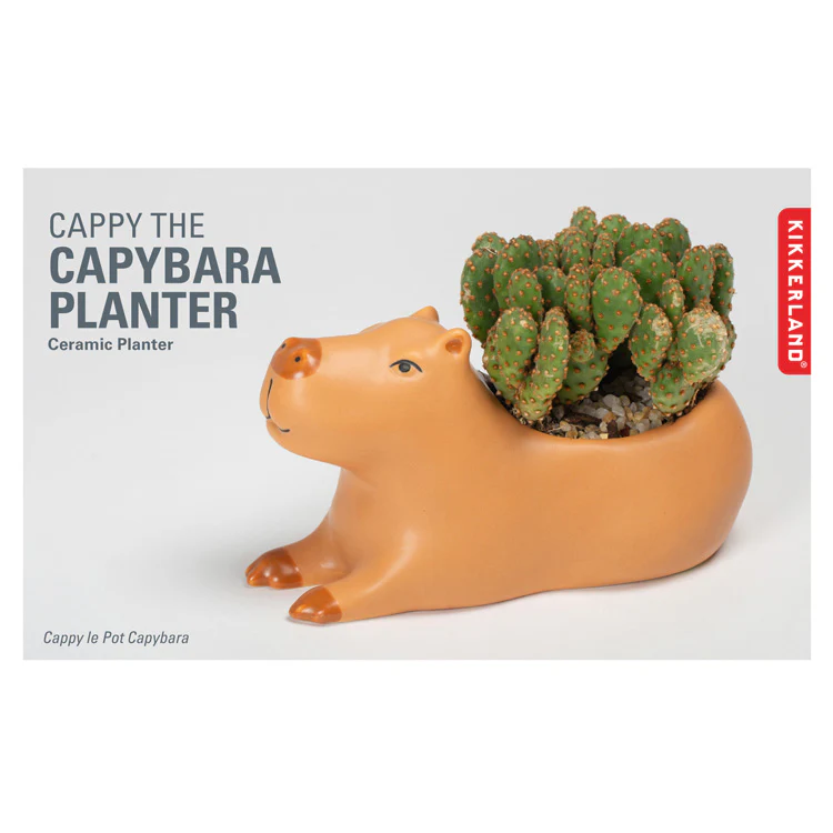 Cappy the Capybara Planter / Large