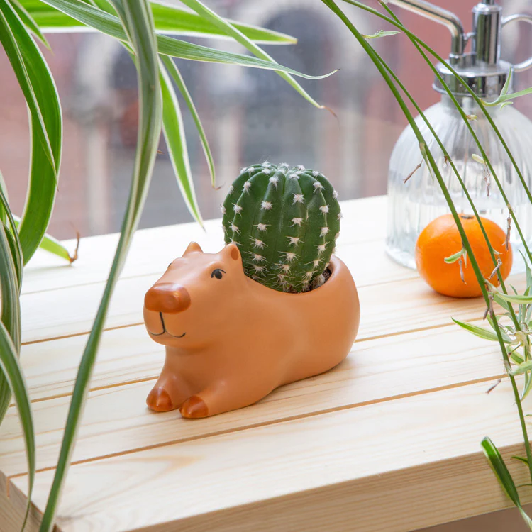 Cappy the Capybara Planter / Small