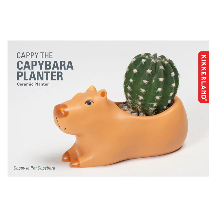 Cappy the Capybara Planter / Small