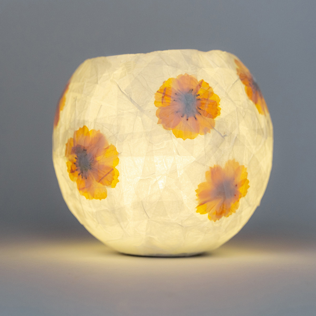 Crafters Make Your Own Flower Paper Lamp Kit