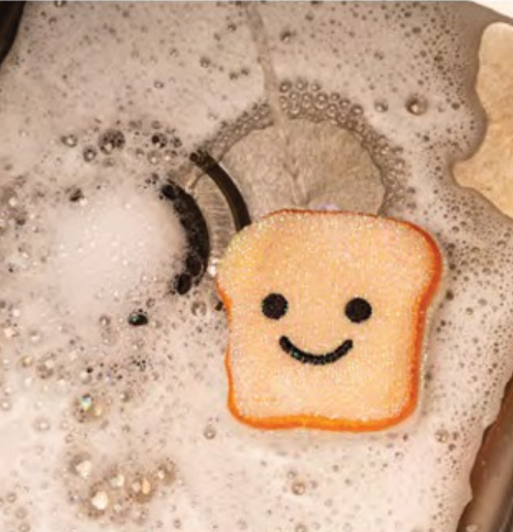 Toast Scrub Sponge