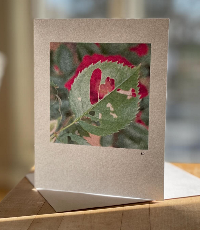 Heart Notecard (Click For Full Selection)