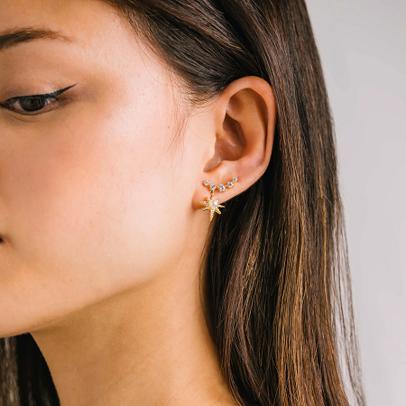 Alaia Climber Earrings in Gold