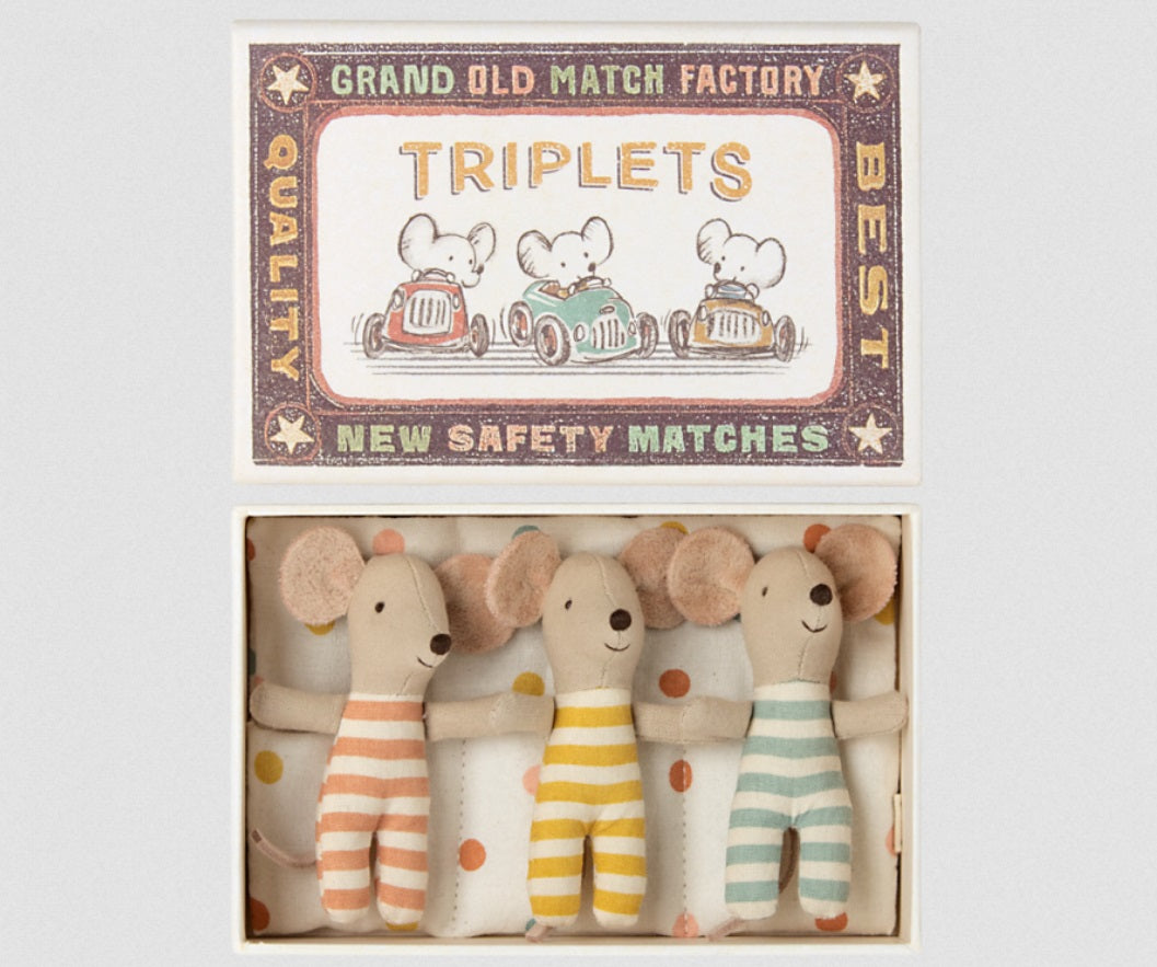 Triplet Baby Mice in Matchbox