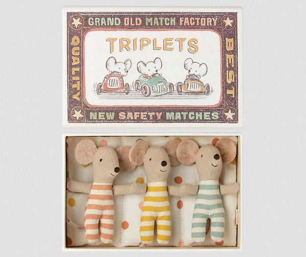 Baby Mice Triplets in Matchbox